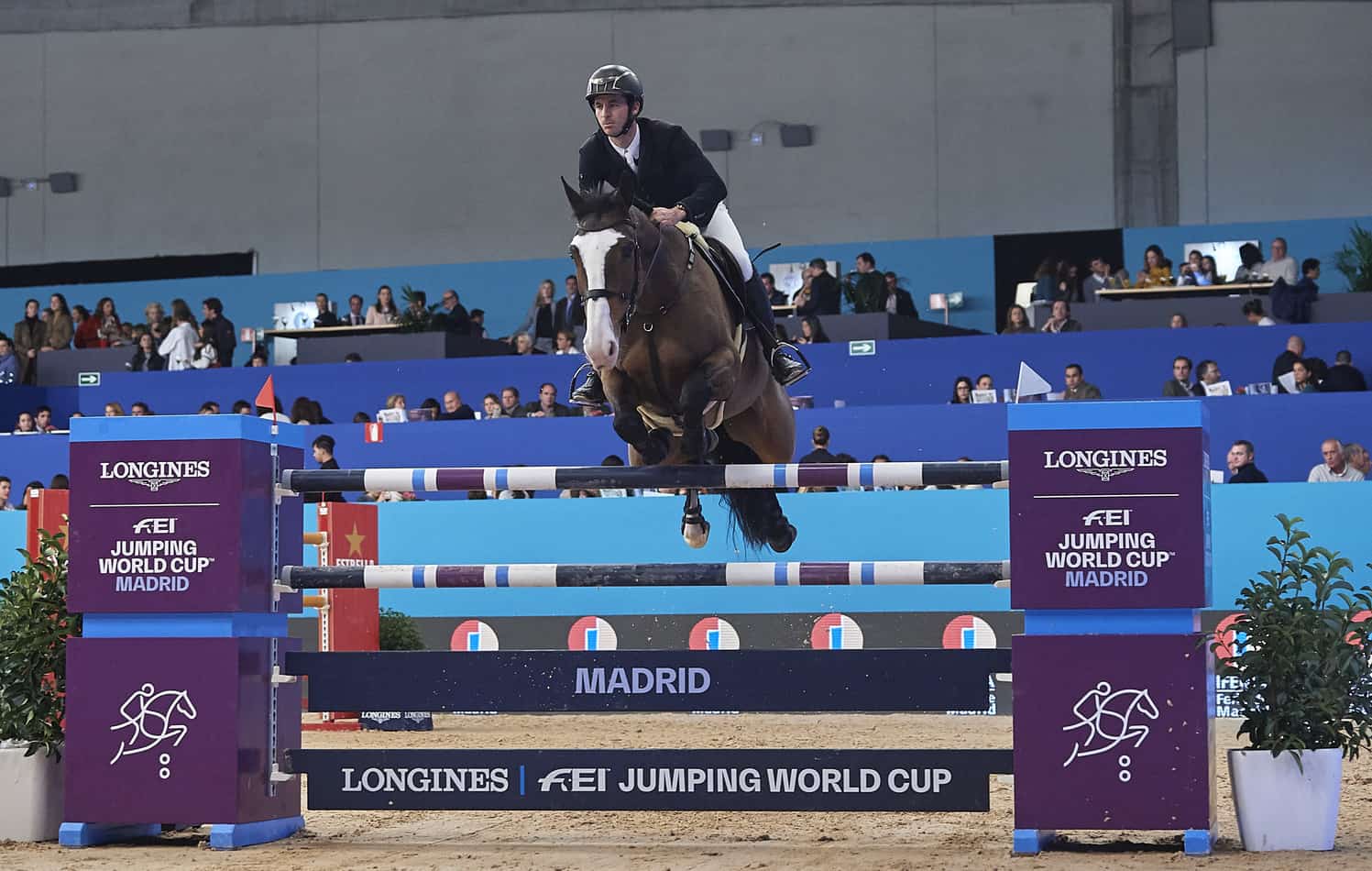 Showjumping Elite at IFEMA Madrid Horse Week.