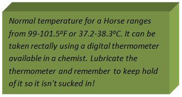 What is the temperature range for a healthy horse?