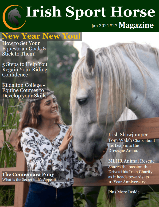 can horses see in the dark  irish sport horse magazine