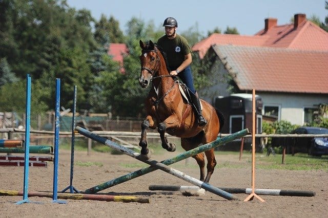 Introduction to Jumping in Horseback Riding