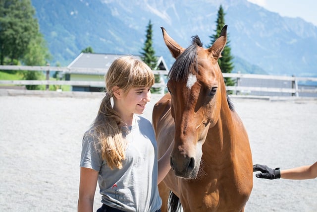 Tips for Handling Young Horses Irish Sport Horse Magazine